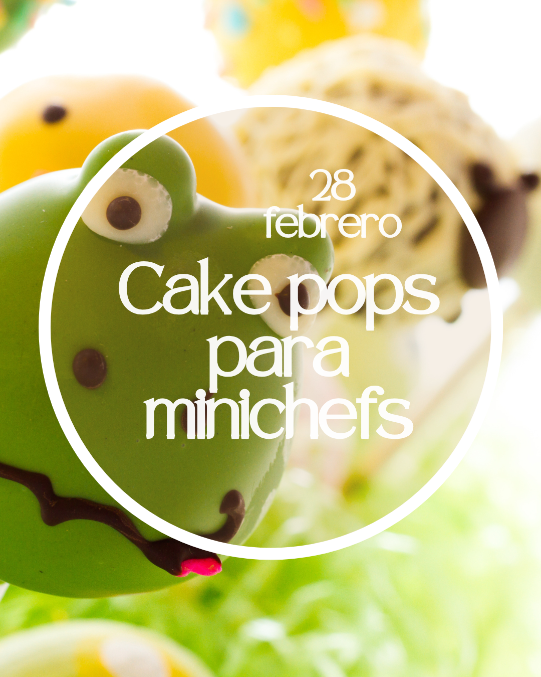 curso bizcochos 1 (35)